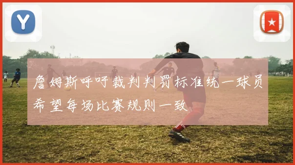詹姆斯呼吁裁判判罚标准统一球员希望每场比赛规则一致